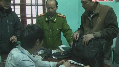Cạy cóp xe để trộm tiền