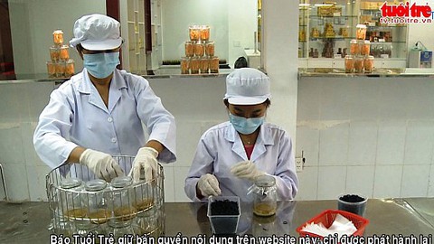 Chuyển giao công nghệ nuôi đông trùng hạ thảo hữu cơ