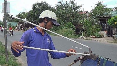 Báo động nạn tận diệt chim trời