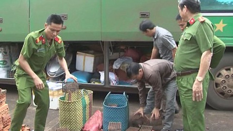 Phát hiện xe khách chở thú rừng và gỗ trái phép