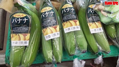 Chuối Việt Nam vẫn có thể chinh phục thị trường khó tính