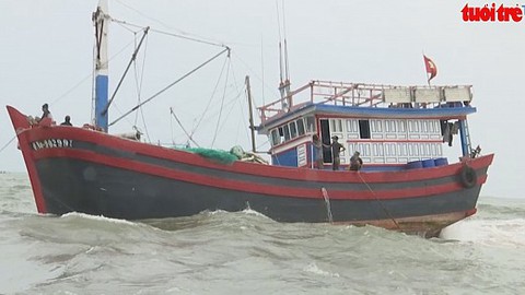Cứu tàu cá chở 12 ngư dân bị nạn giữa đêm