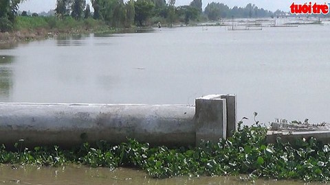 Đang nuôi thủy sản, người dân choáng váng vì dự án lấp kênh