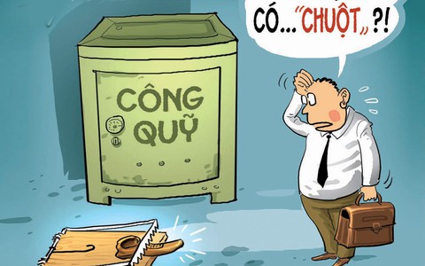 Loài chuột "lạ"