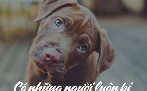 Có những người luôn bị "chậm nhịp"