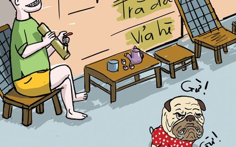 Chó thả rông rất hiền và rất ngoan