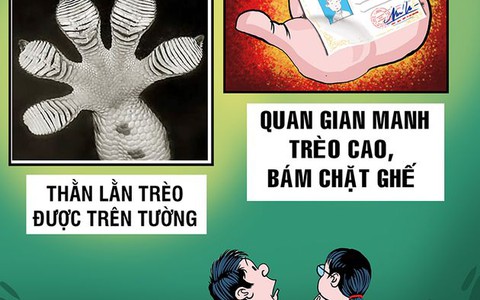 So sánh thằn lằn và quan tham