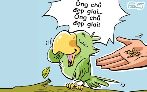 Chuyện tào lao: Ông chủ đẹp giai!