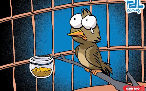 Chuyện tào lao: Chú chim sẻ bị đi tù