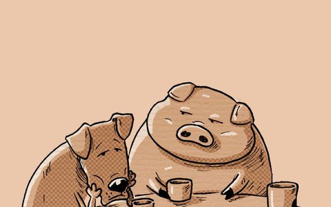 Chuyện tình heo gấu chó