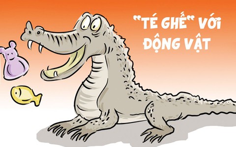 "Té ghế" với mấy ông bà động vật