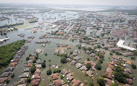Biến đổi khí hậu chẳng chừa một ai, từ gấu cho tới người