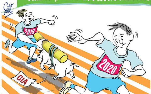 Cuộc thi chạy tiếp sức xuyên năm