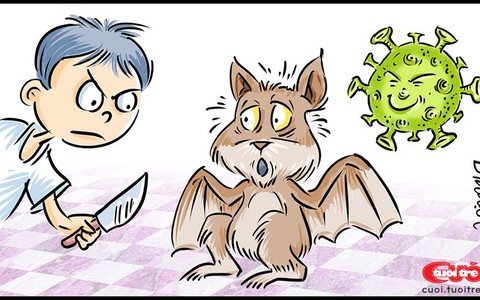 Giải mã virus corona: Đeo kính râm có tránh được virus?