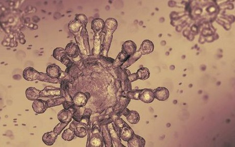 Virus corona đang đe dọa không chỉ tính mạng, mà còn cả túi tiền của người Mỹ