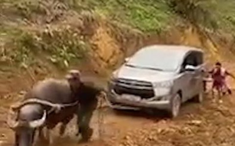 'Động cơ ăn cỏ' kéo ôtô leo dốc