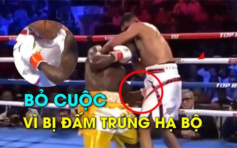 Võ sĩ bỏ cuộc vì bị đối thủ đấm trúng hạ bộ