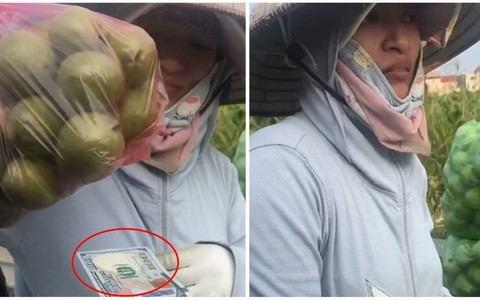 Người phụ nữ bán ổi nhất quyết không lấy 100 đô, chỉ lấy đúng 40.000 đồng