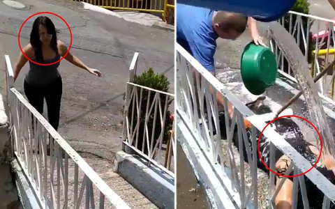 Cô gái được 'khử trùng tận răng' khi đi siêu thị về