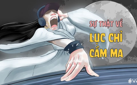 Sự thật về Lục chỉ cầm ma