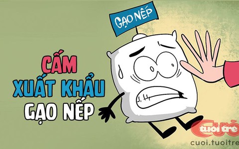 Cấm xuất khẩu gạo nếp!