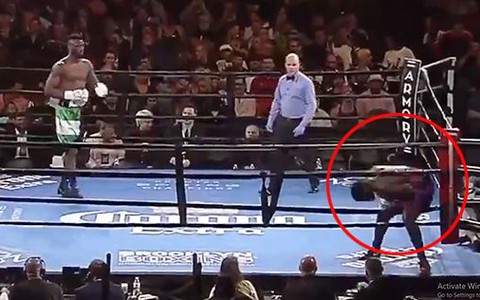 Võ sĩ boxing lừa trọng tài và cả thế giới: 0 giây đã thua