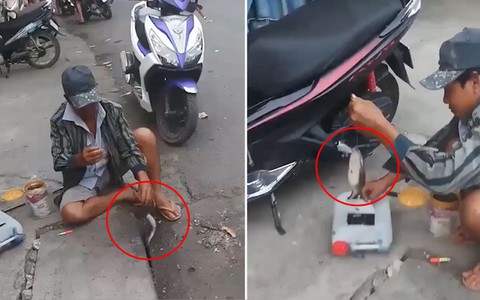 Người đàn ông liên tục giật được cá trê trên phố Sài Gòn
