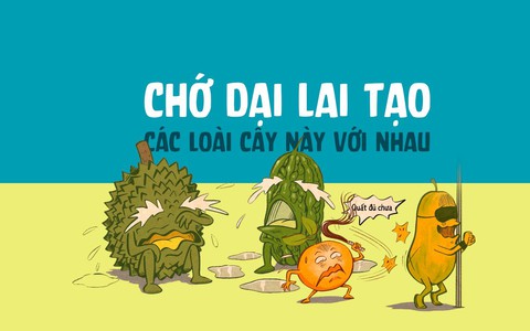 Chớ dại lai tạo các loài cây này với nhau!