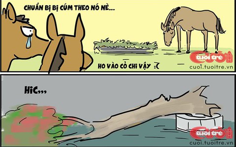 Tình nghĩa cây xanh có chắc bền lâu?