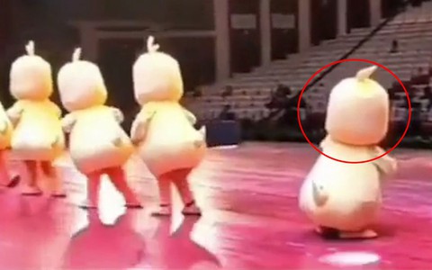 'Cười xỉu' với chú vịt ham vui nhảy nhót quên cả đường về nhà