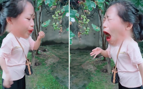 'Chết cười' với biểu cảm khó đỡ của cô gái khi ăn thử trái 'lạ' trong vườn