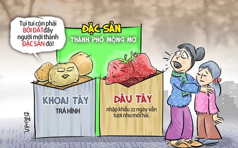 Đặc sản khoai tây tắm bùn, dâu tây trẻ mãi không già