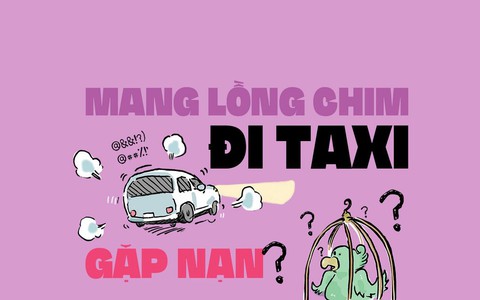 Gặp nạn vì mang lồng chim đi taxi