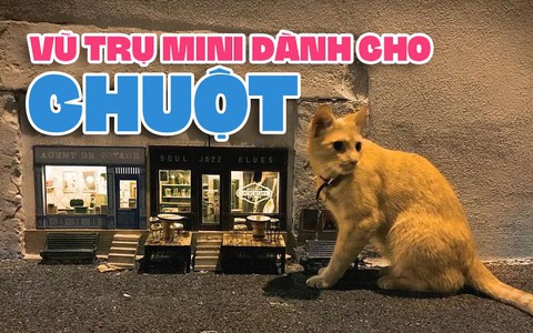 Vũ trụ song song dành cho chuột trên đường phố châu Âu