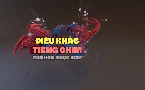 Nghe điêu khắc tiếng chim 'phê' hơn cả nhạc EDM