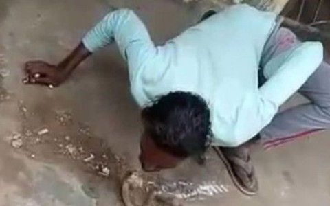 Hôn rắn hổ mang, nhà thôi miên bị cắn nhập viện
