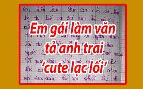 Cô bé tập làm văn tả anh trai: chân to do di truyền từ bố, đánh chị để bênh em, hay chém gió, sở hữu IQ trong top cao nhất TG
