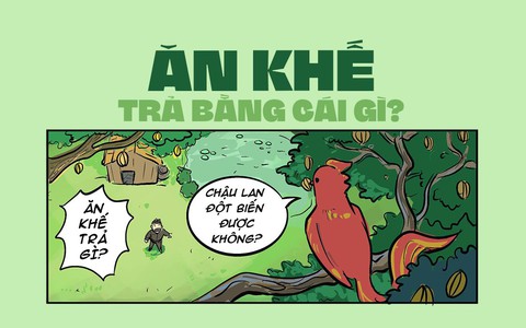 Cổ tích 4.0: Ăn khế trả gì cho hợp lý?