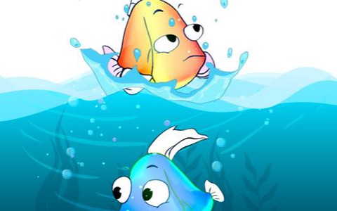 Nỗi lòng của 2 chú cá phóng sinh