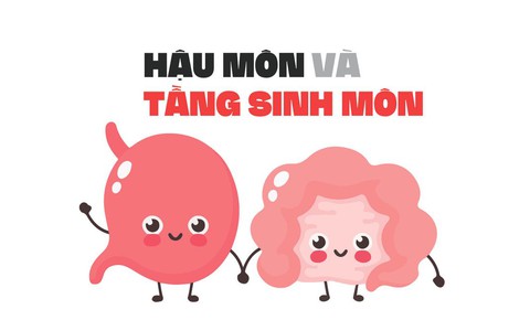 Cắt tầng sinh môn sao lại bị rò hậu môn?