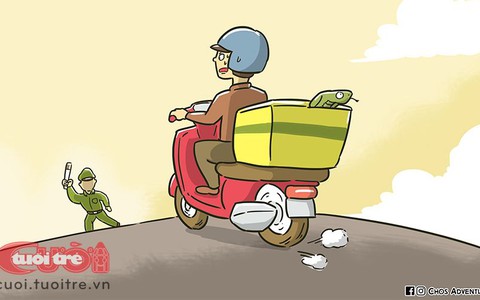 Chở rắn hổ mang chúa 20kg giao cho khách bị công an bắt