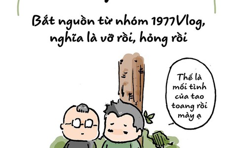Từ điển dân mạng: Đem đi thiến chứ có bán thịt đâu mà phải 'xoắn'