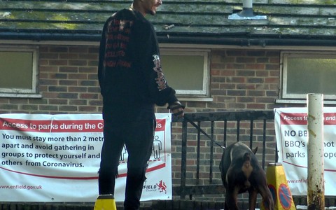 Sao Tottenham Dele Alli mua chó để chống trộm cướp