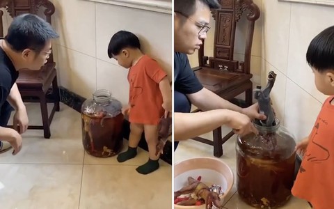 Bé trai bỏ siêu nhân ngâm vào bình rượu thuốc của bố