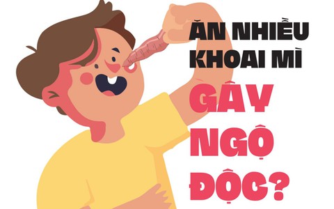 Ăn nhiều khoai mì gây ngộ độc?