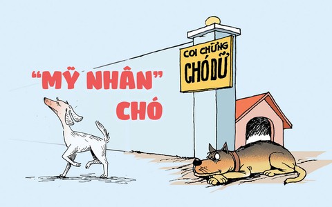 Hai tên trộm IQ vô cực, dùng 'mỹ cẩu kế'