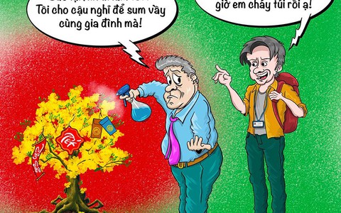 Tết này đã chán 'sum vầy'?