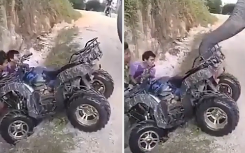 Chú voi 'lươn lẹo' khiến hai thanh niên bối rối