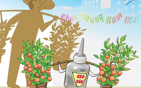Nông dân keo dán sắt