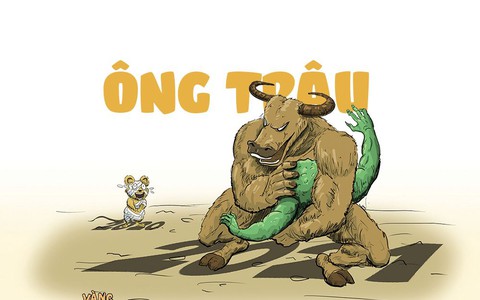 Hy vọng vào ông Trâu